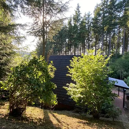 Wald-chalet Vulkaneifel * Kerschenbach