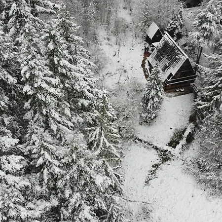 Διαμέρισμα Wald-chalet Vulkaneifel *