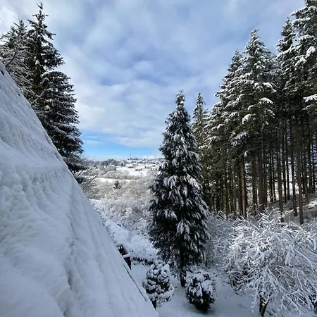 Wald-chalet Vulkaneifel Kerschenbach