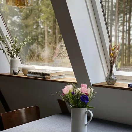 Wald-chalet Vulkaneifel Kerschenbach