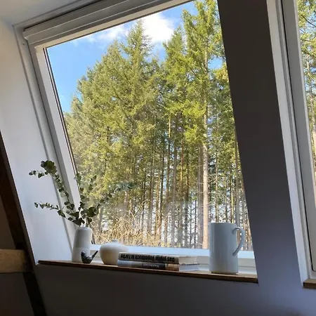 Wald-chalet Vulkaneifel * Kerschenbach