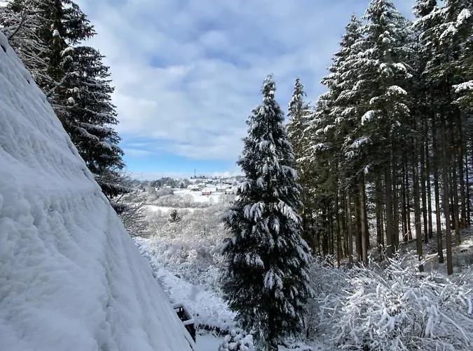 Wald-chalet Vulkaneifel Kerschenbach